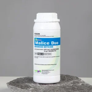 Indigo Malice Duo 1L