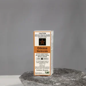 Odessa 50g