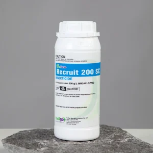 Indigo Recruit 1L